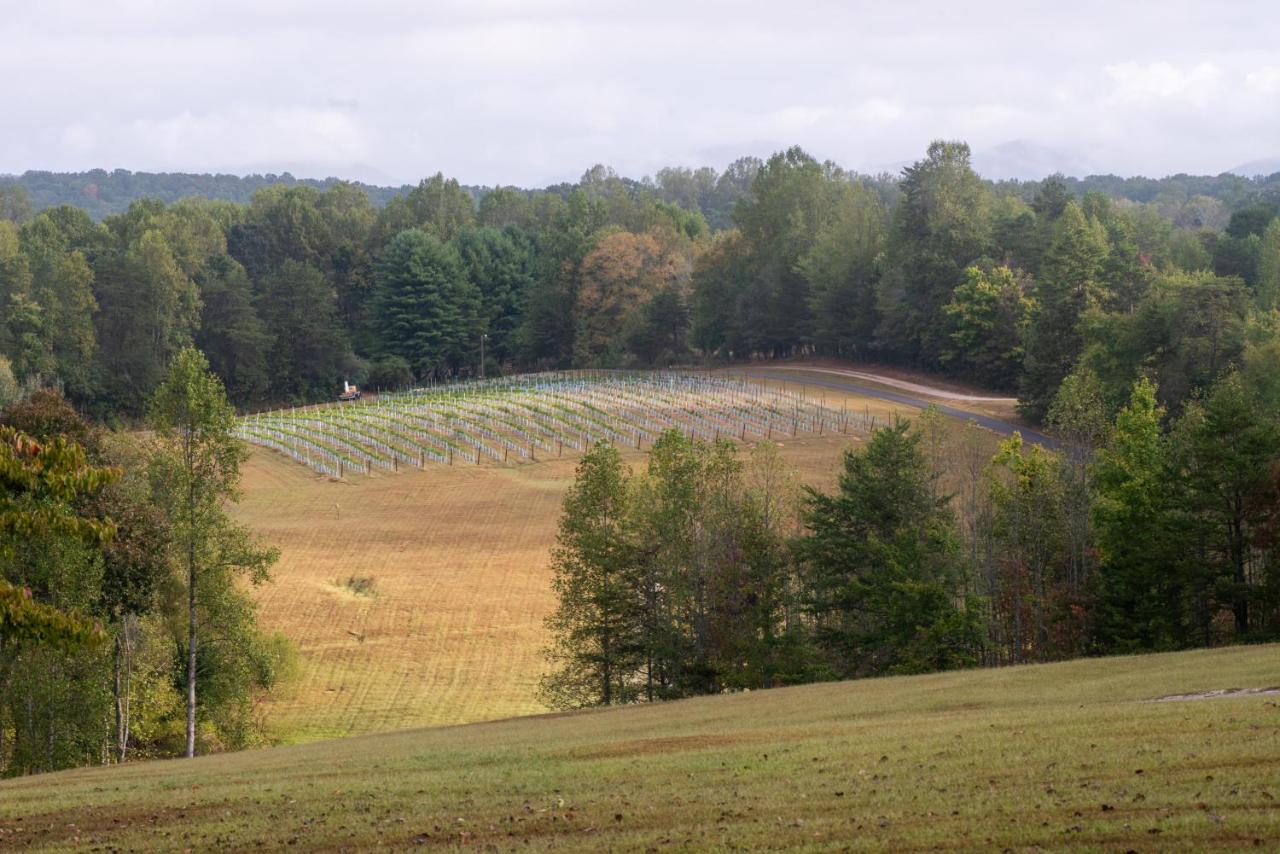 | Dahlonega Resort and Vineyard