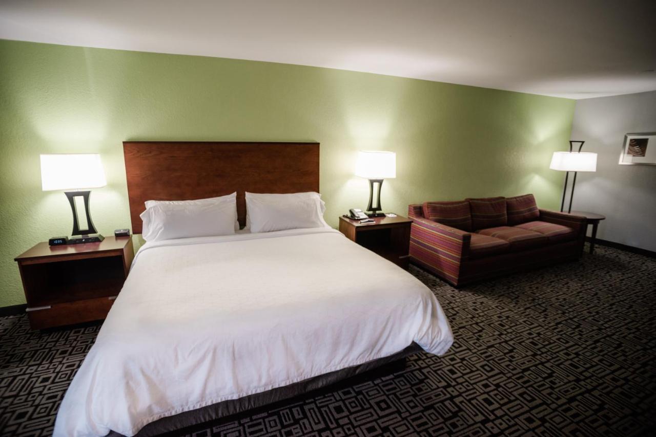 King Room with Sofa Bed at Holiday Inn Express Hickory-Hickory Mart by IHG