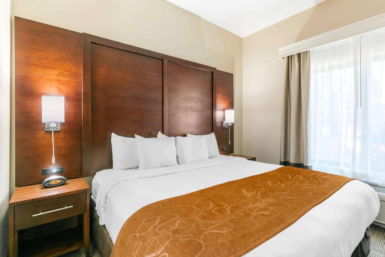 King Suite - Accessible/Non-Smoking at Comfort Suites Hopkinsville near Fort Campbell