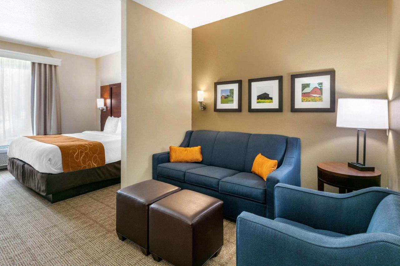 King Suite - Accessible/Non-Smoking at Comfort Suites Hopkinsville near Fort Campbell