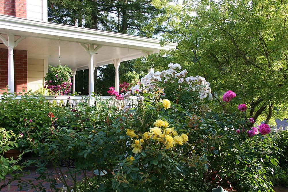 | Inn at Occidental