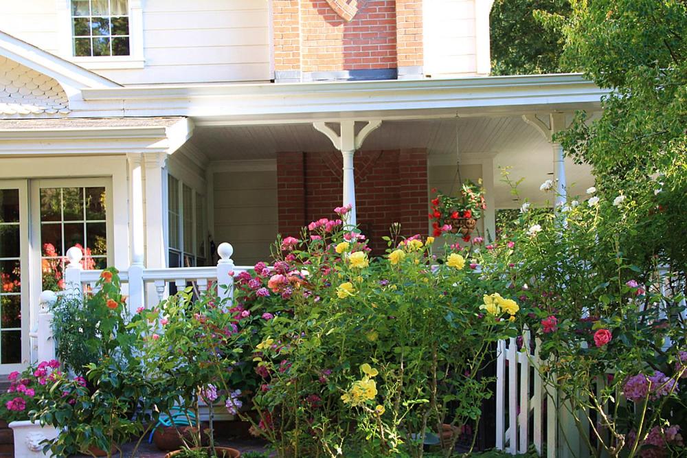 | Inn at Occidental