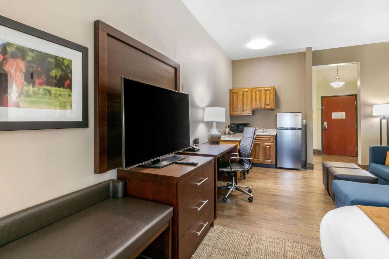 Superior King Suite - Non-Smoking at Comfort Suites Hopkinsville near Fort Campbell