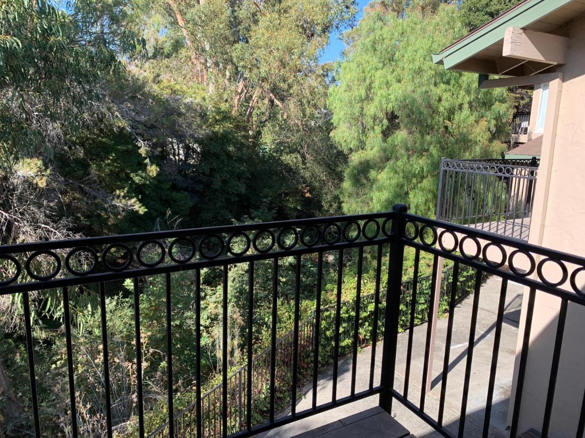 | Olive Tree Inn & Suites