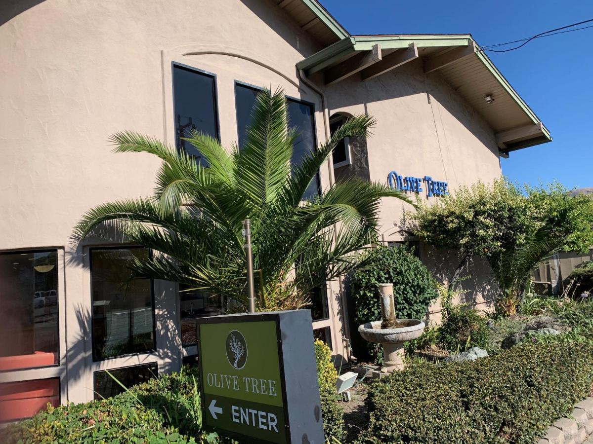 | Olive Tree Inn & Suites