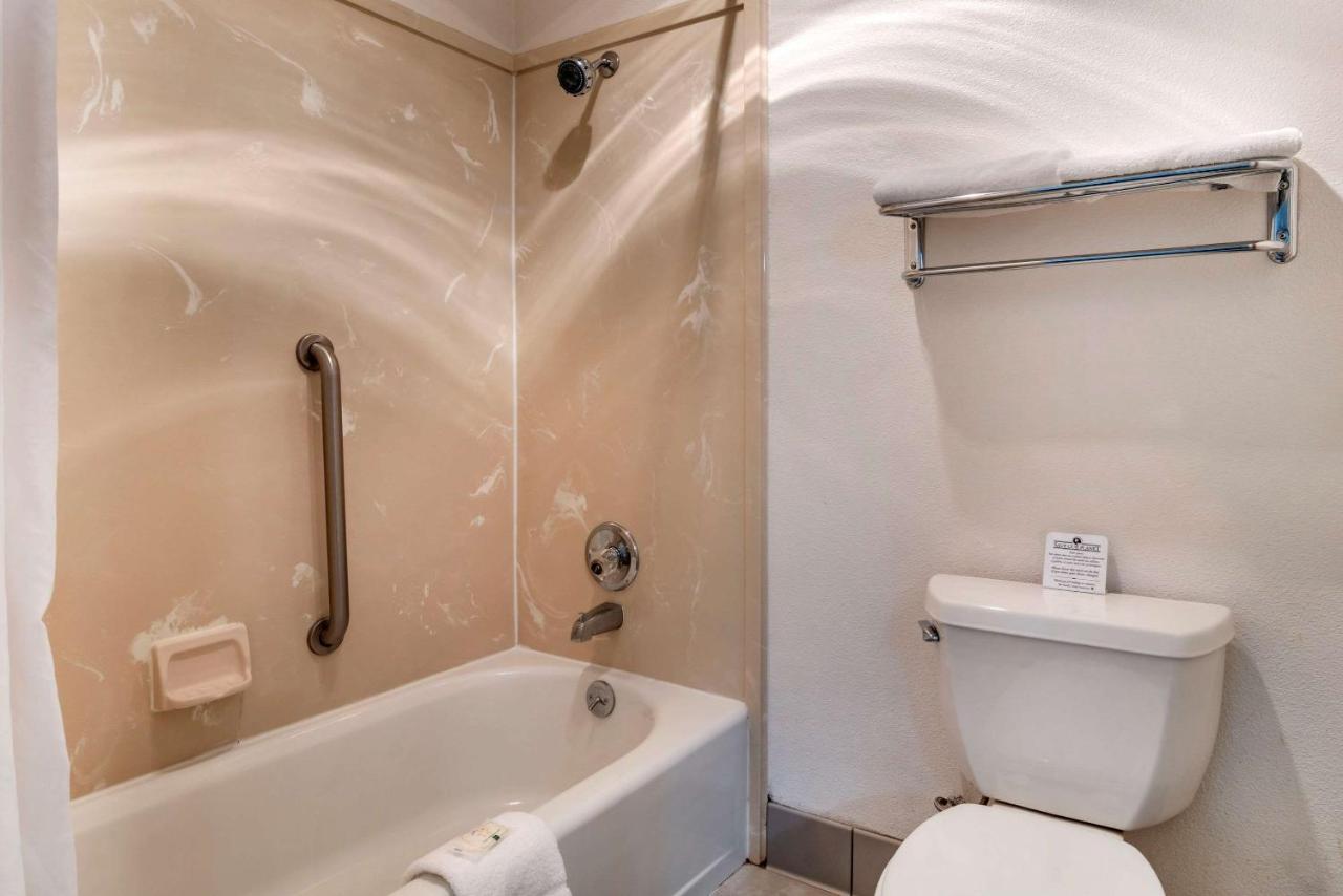 Superior King Room with Sofa Bed - Non-Smoking at Quality Inn Central Roseburg