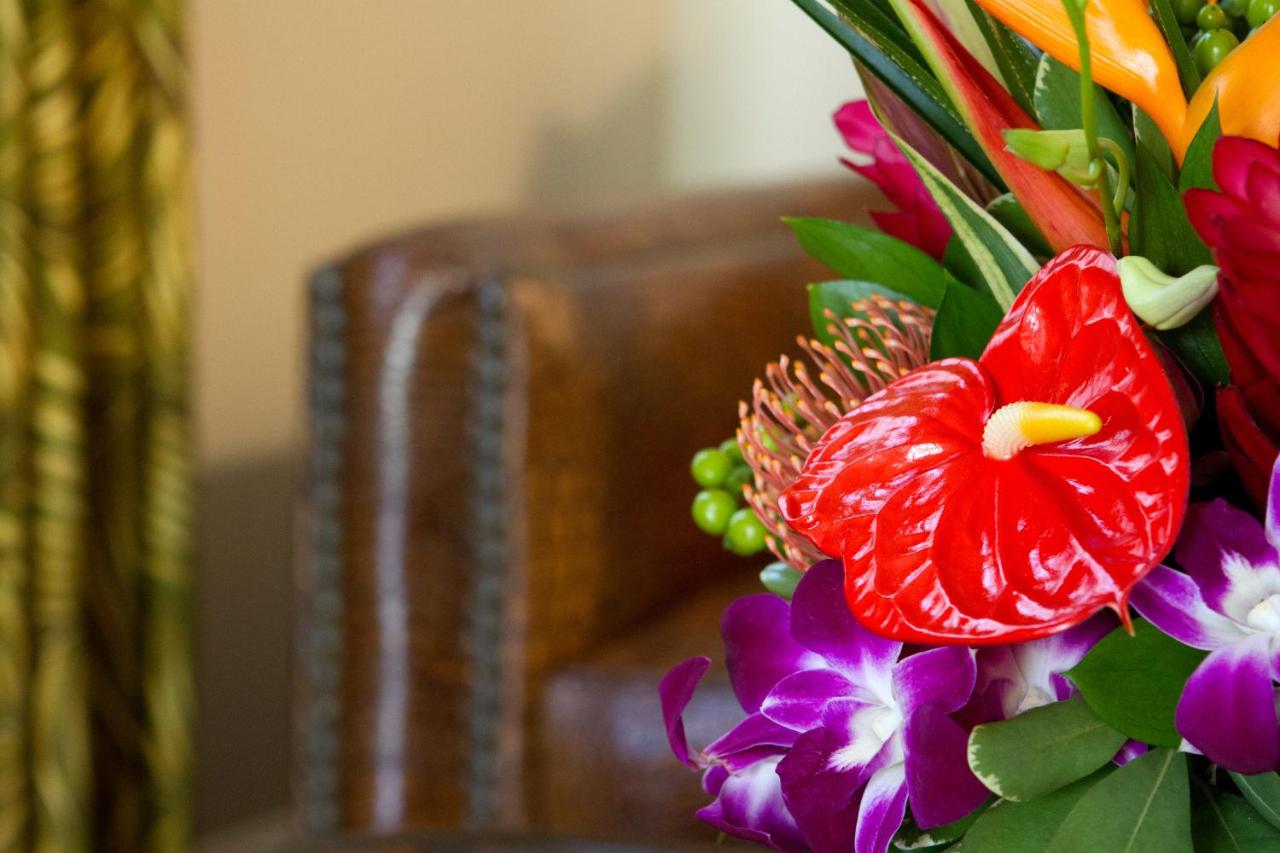 | The Gardens Hotel