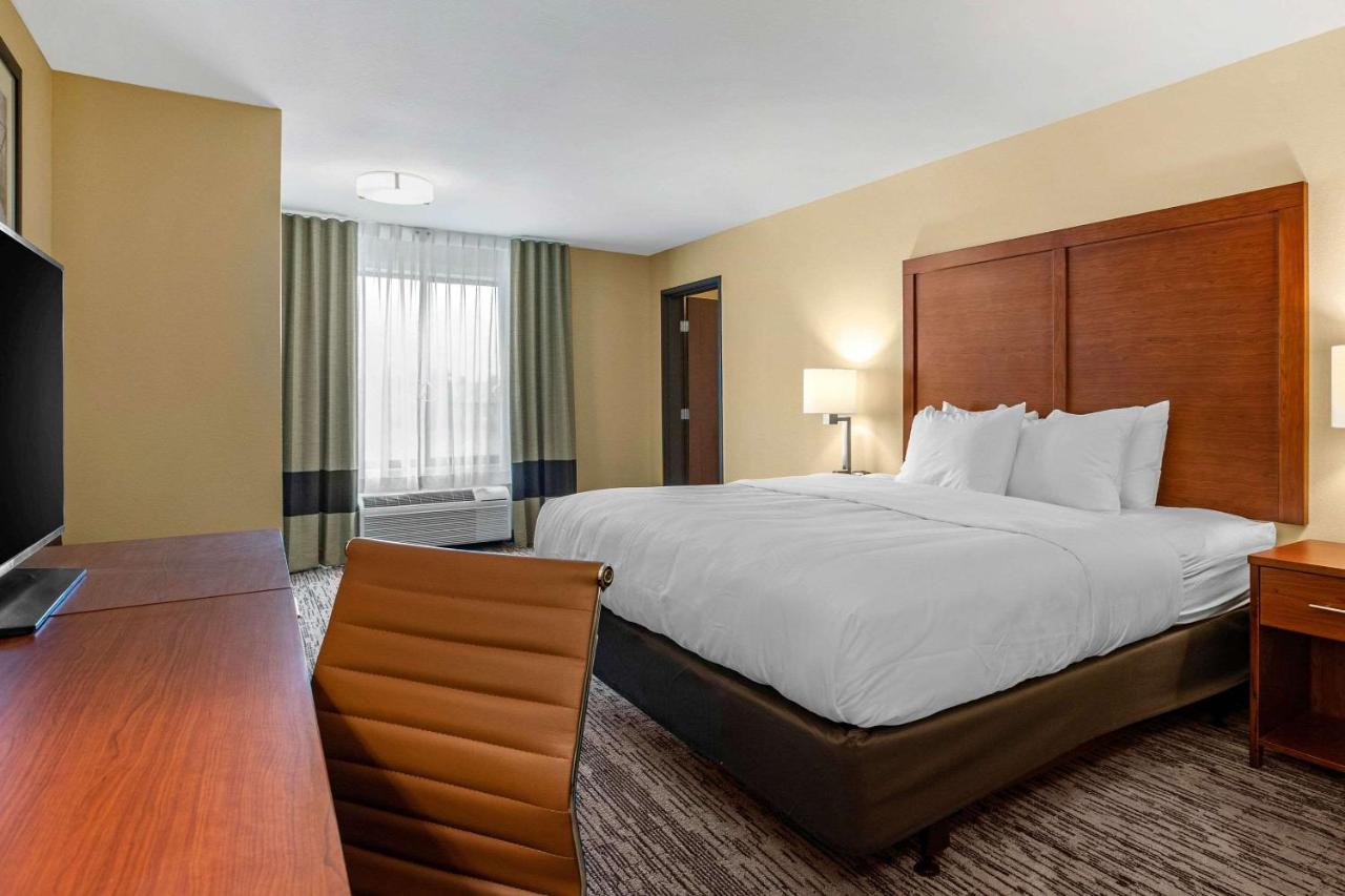 King Suite with Sofa Bed - Non-Smoking at Comfort Inn and Suites Ames near ISU Campus