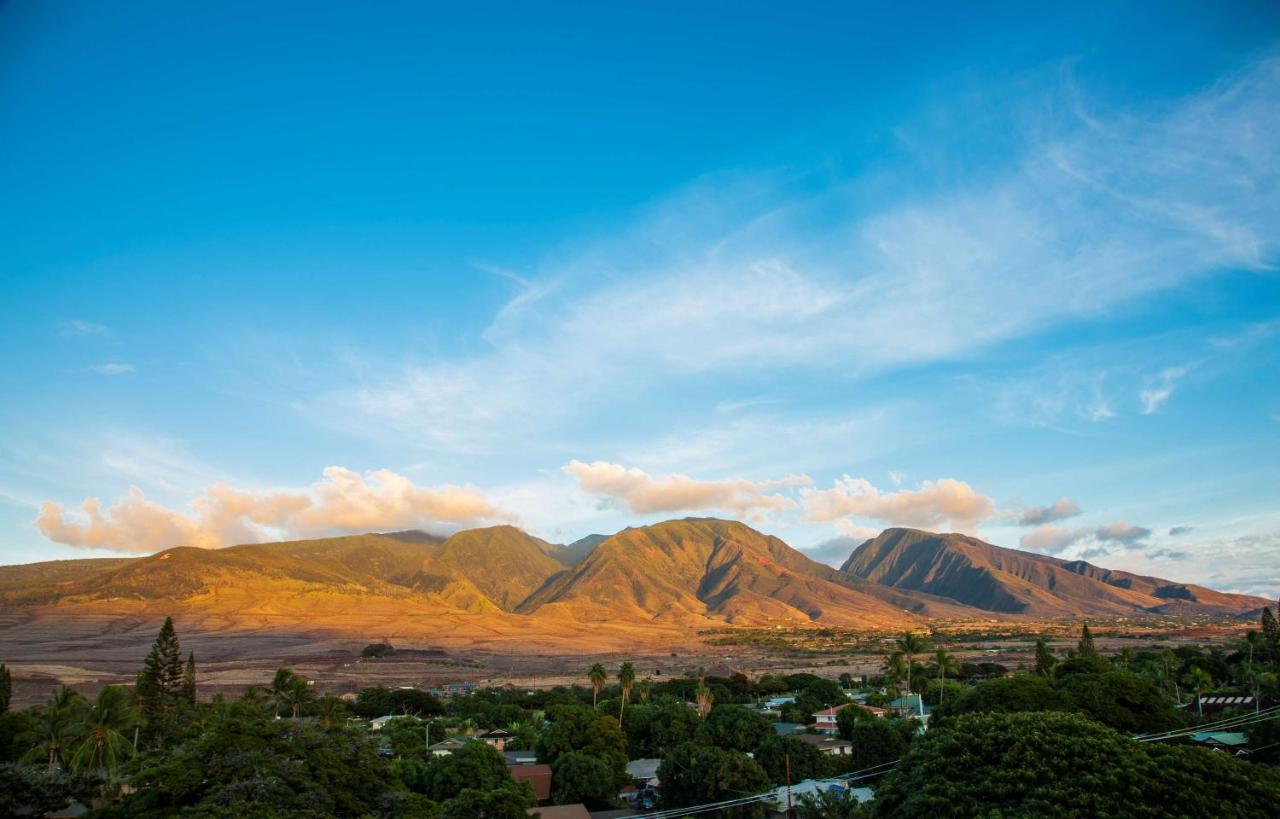  | Lahaina Shores Beach Resort, a Destination by Hyatt Residence