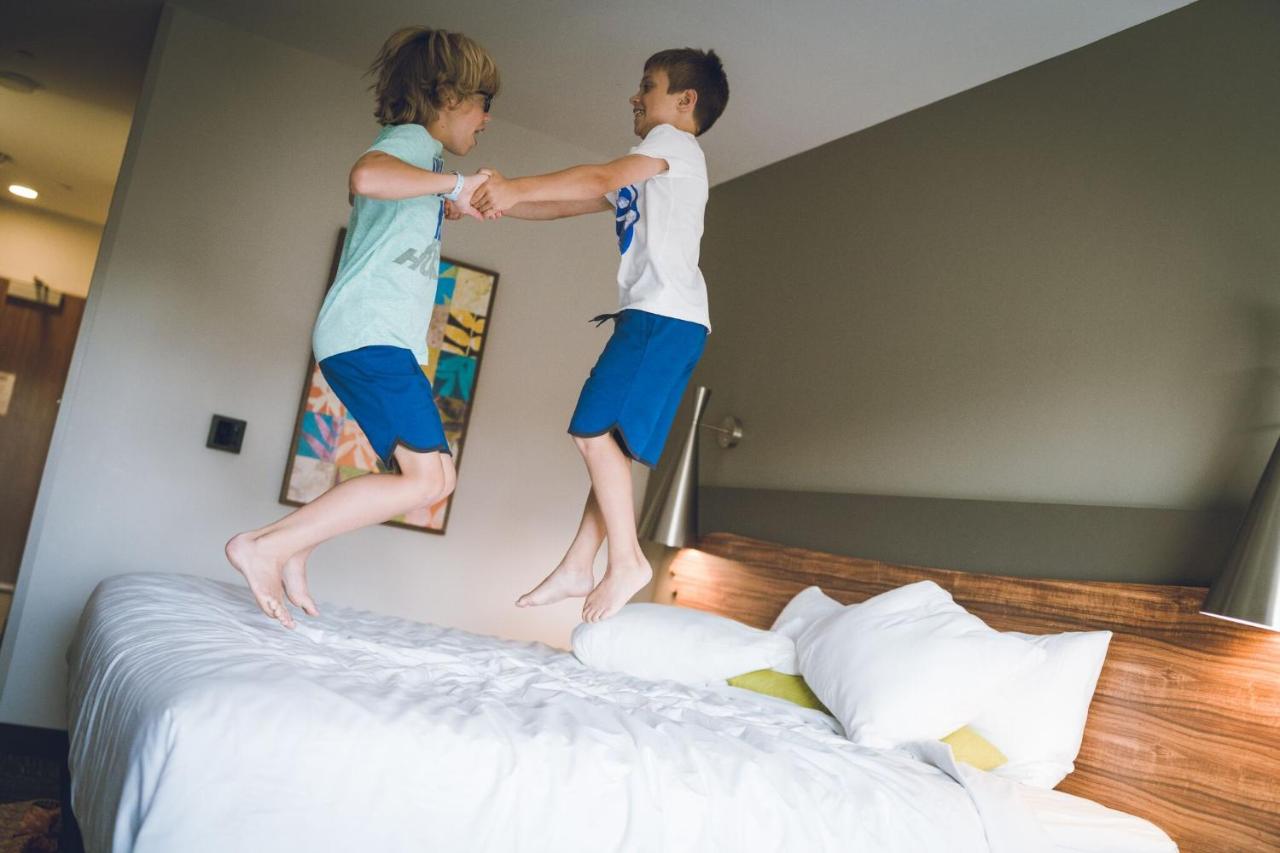 Junior King Suite with Patio at The Kartrite Resort & Indoor Waterpark