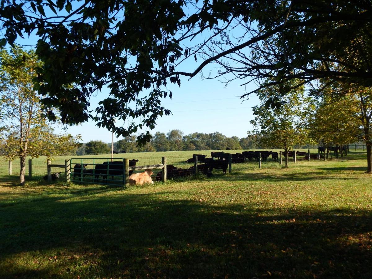 | Fairfield Farm Cottage