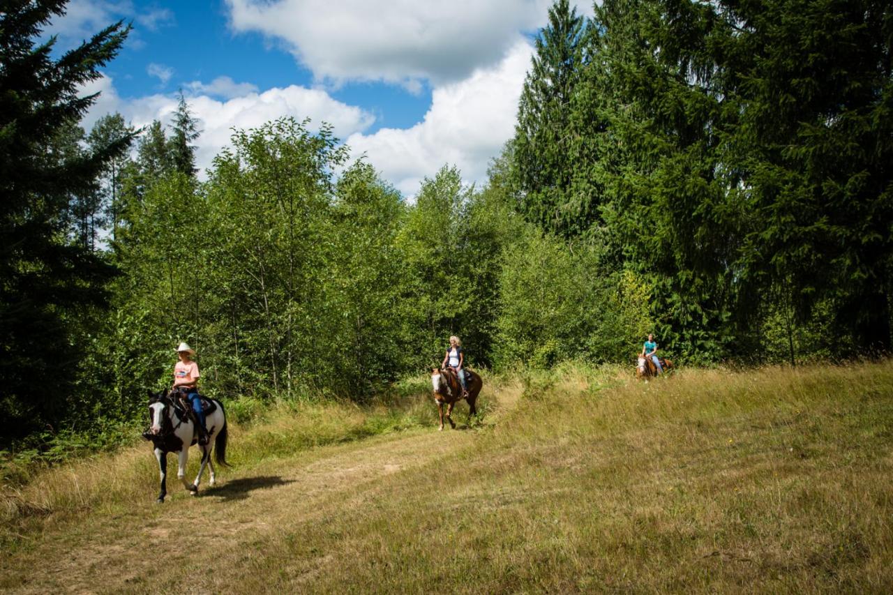 | Chehalis Camping Resort One-Bedroom Cabin 2