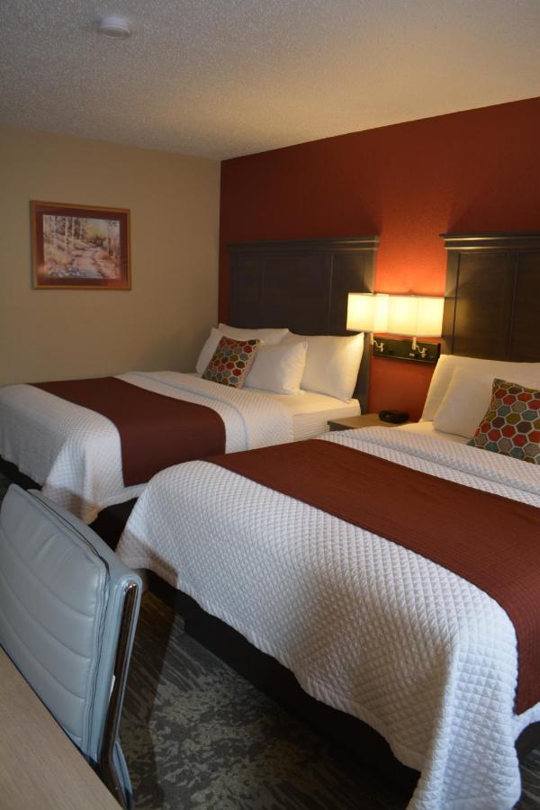 | I M Hotel by Timberlake