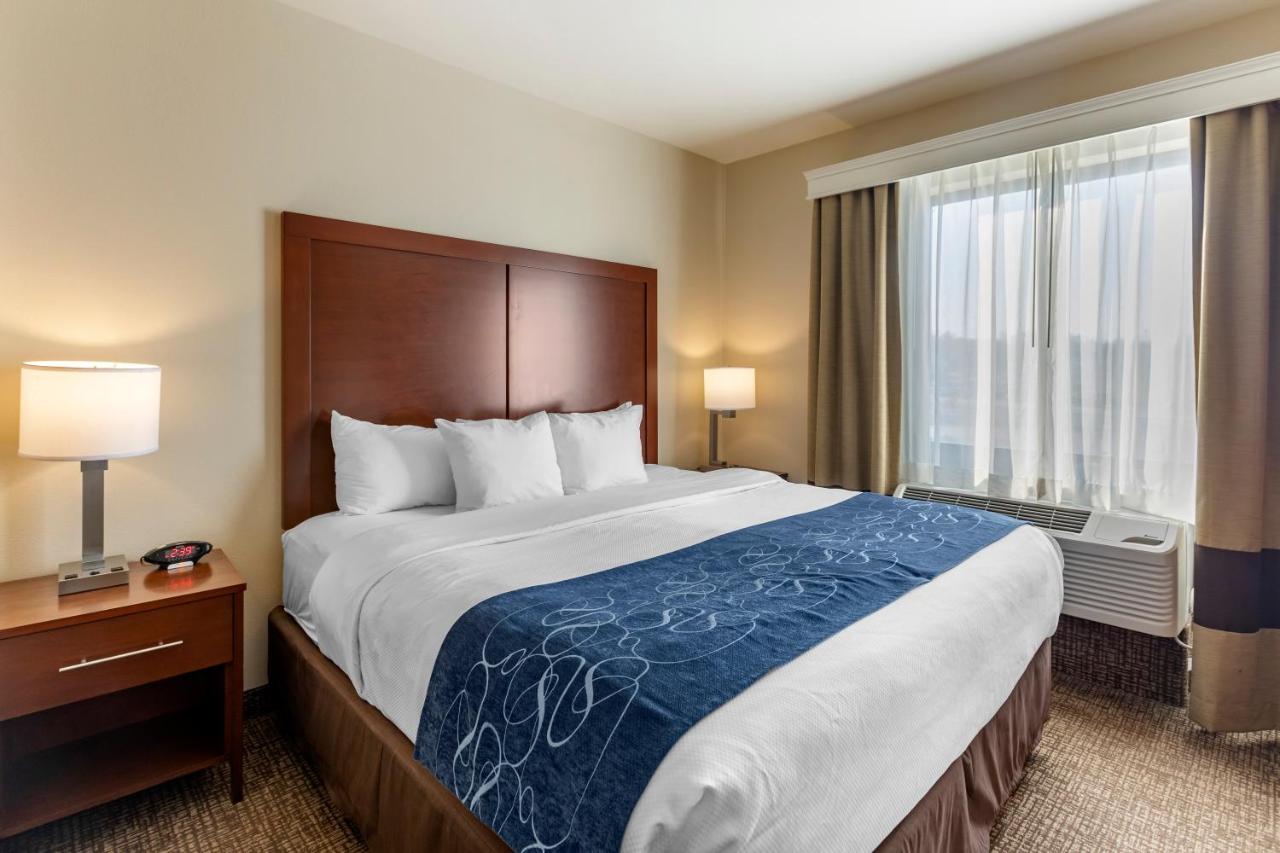 Queen Suite with Two Queen Beds and Sofa Bed - Non-Smoking at Comfort Suites Near Denver Downtown