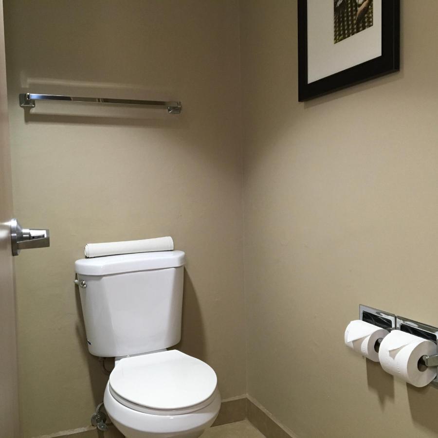 Standard King Room - Non-Smoking at Comfort Inn & Suites near Kino Sports Complex