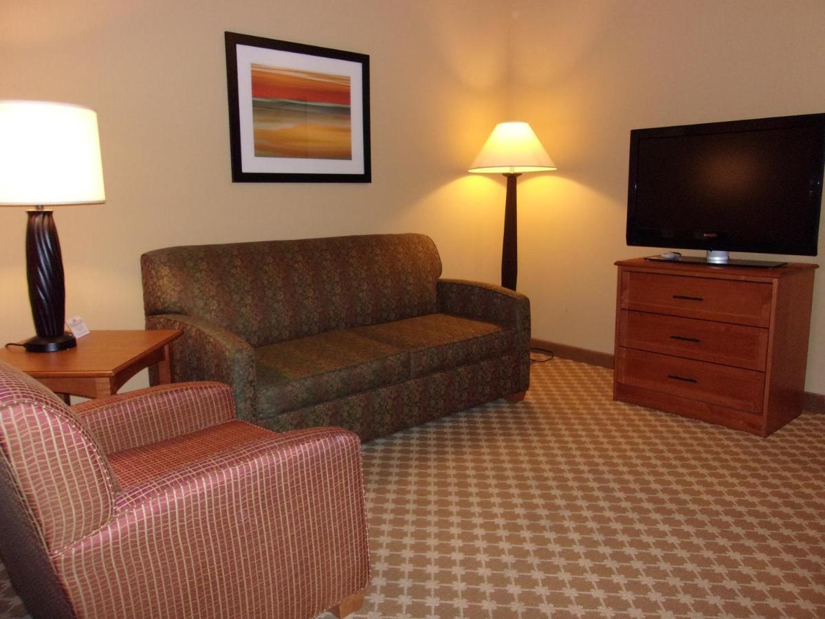 One-Bedroom King Suite at Holiday Inn Express & Suites Chicago West-Roselle by IHG