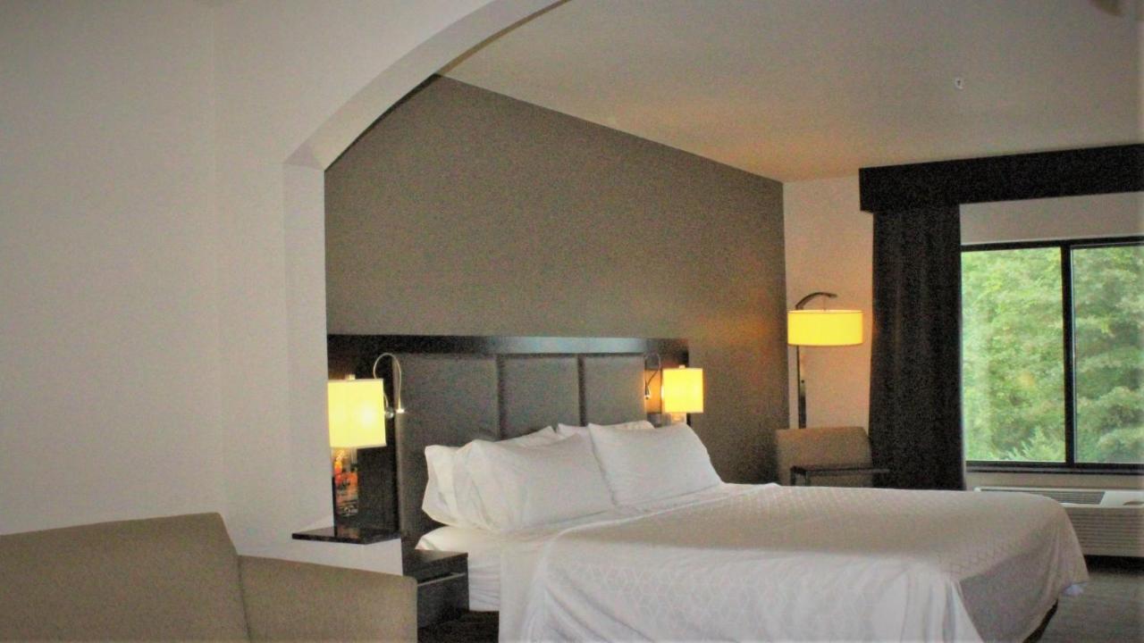 King Suite - Non-Smoking at Holiday Inn Express Hotel & Suites Rockingham by IHG