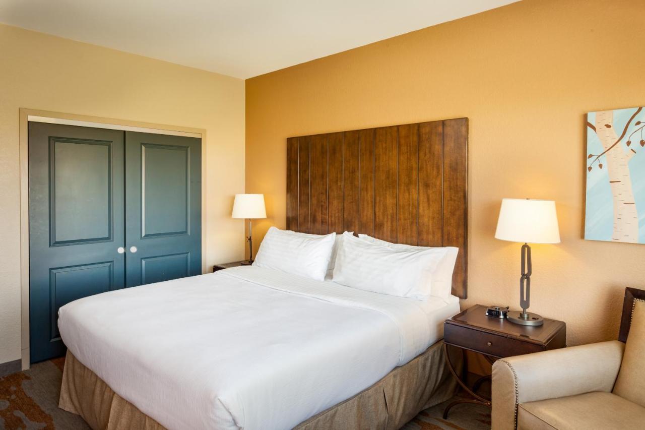 Deluxe King Room - Mobility Access at Holiday Inn San Antonio Seaworld, an IHG Hotel