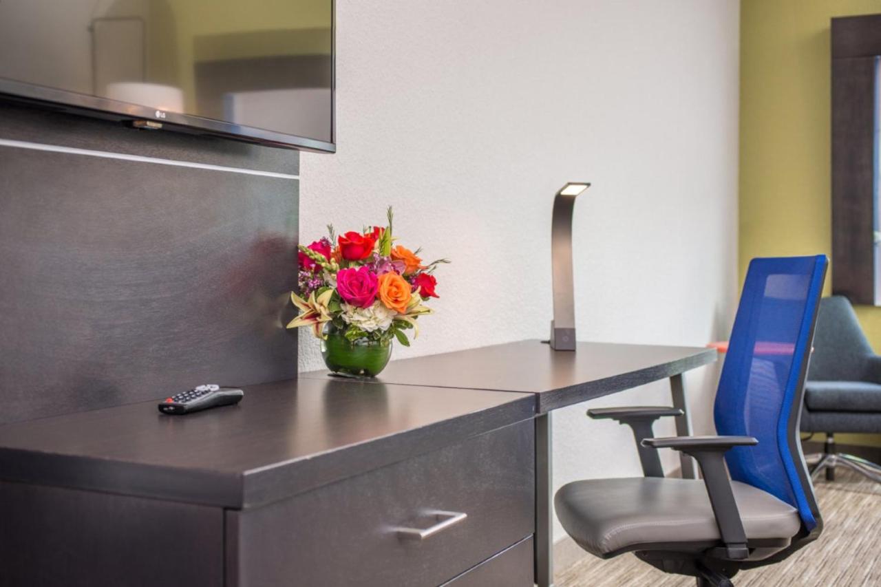 Queen Room at Holiday Inn Express & Suites Tampa North - Wesley Chapel by IHG