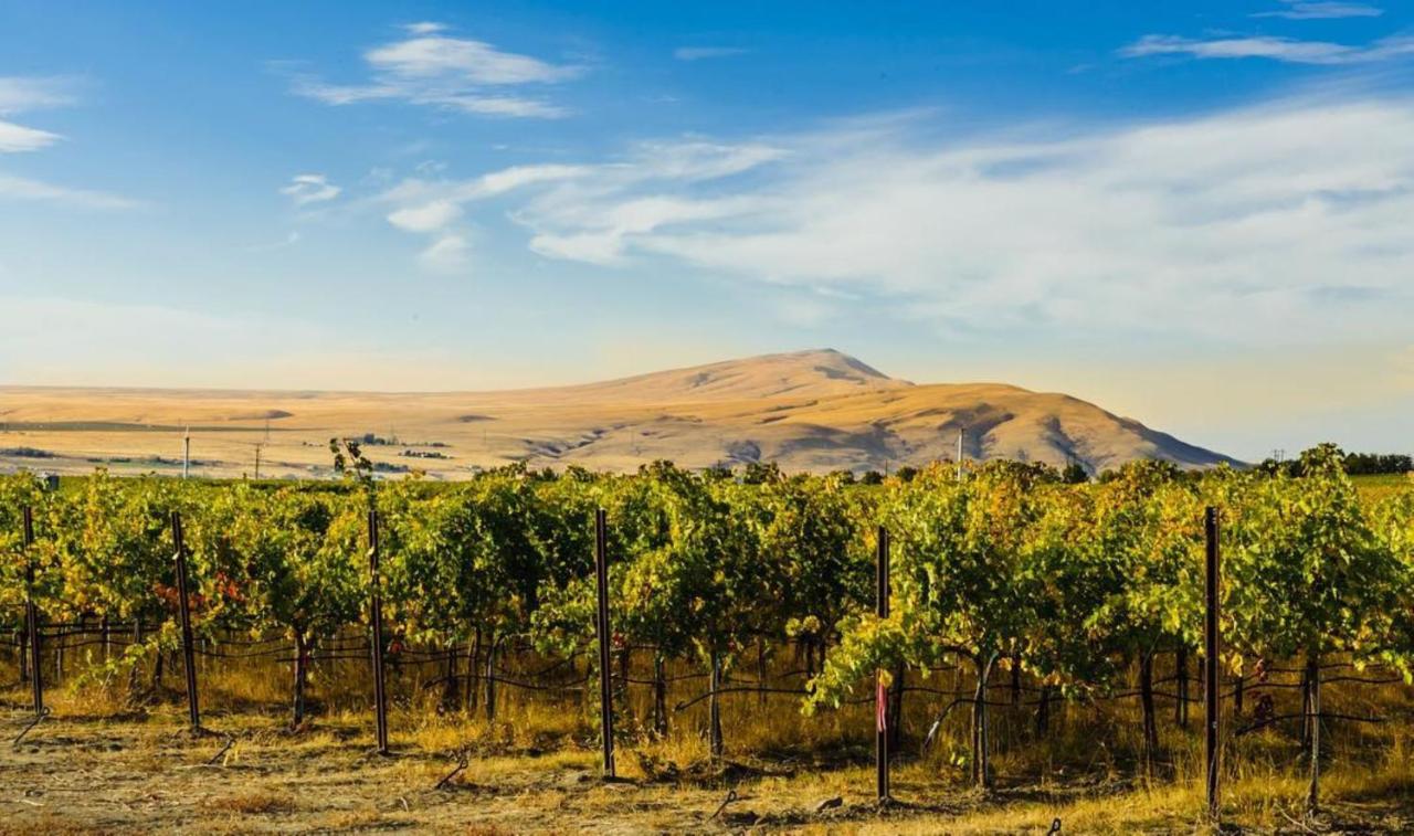 | Holiday Inn Express & Suites - Union Gap - Yakima Area, an IHG Hotel