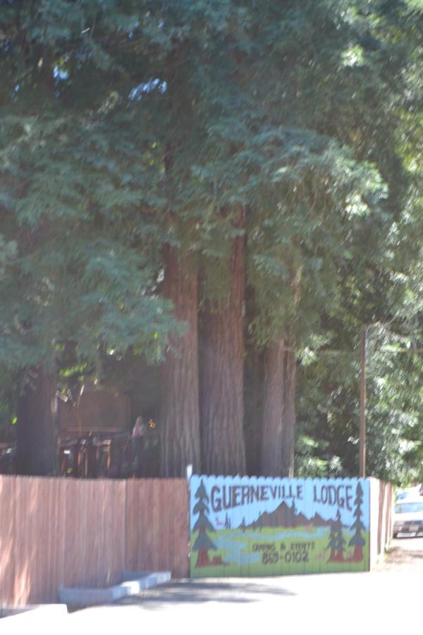 | Guerneville Lodge