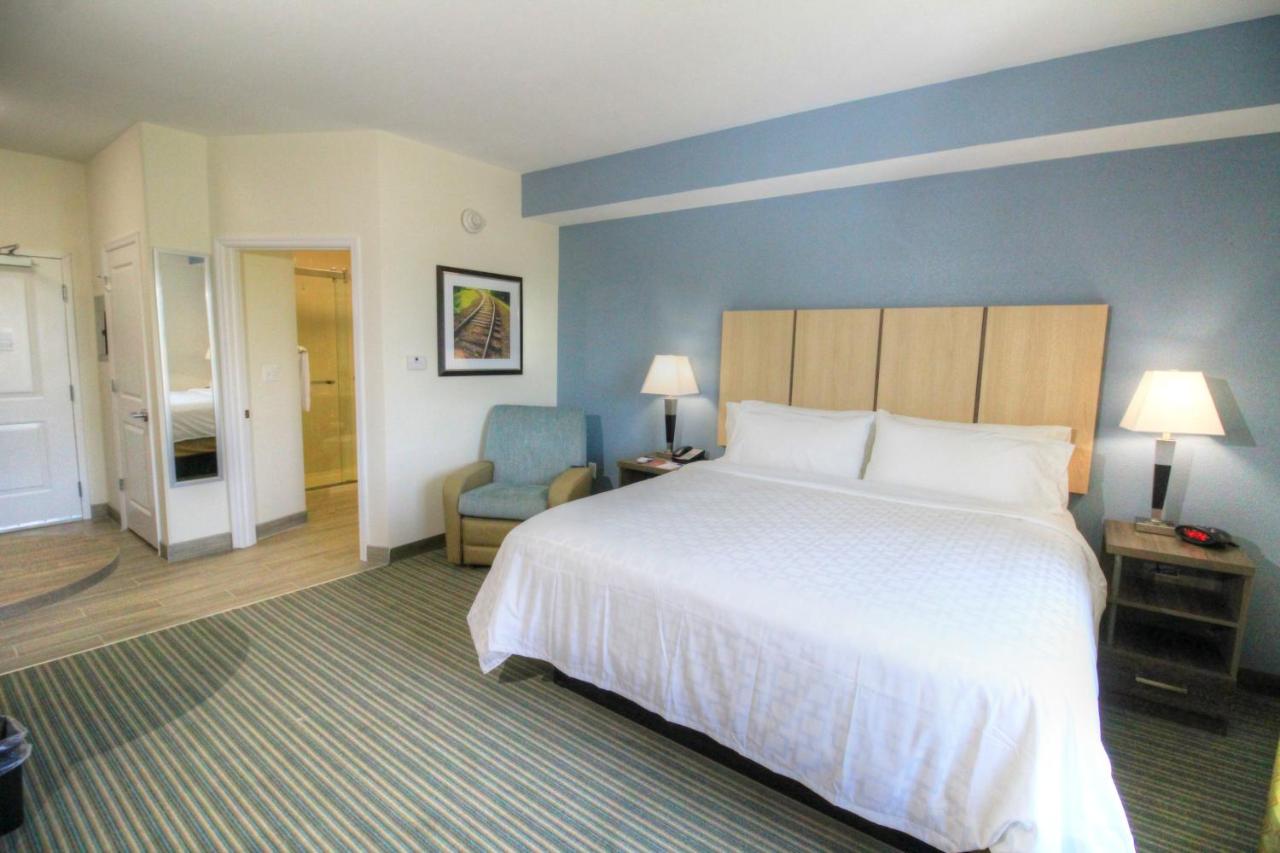 King Studio Suite - Non-Smoking at Candlewood Suites Memphis East by IHG