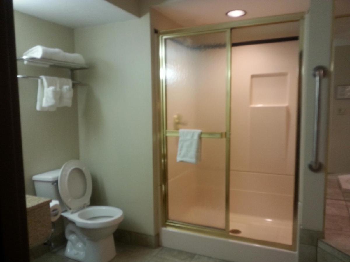 King Room - Non-Smoking at Best Western Park Hotel