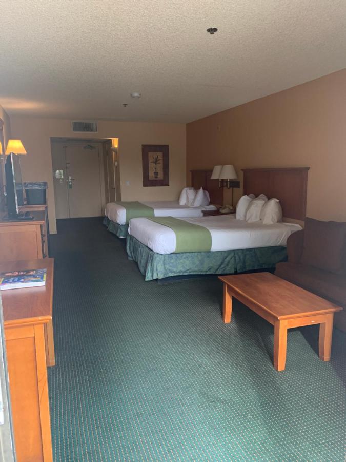 Deluxe Queen Room - Pool Side at Miracle Springs Resort & Spa