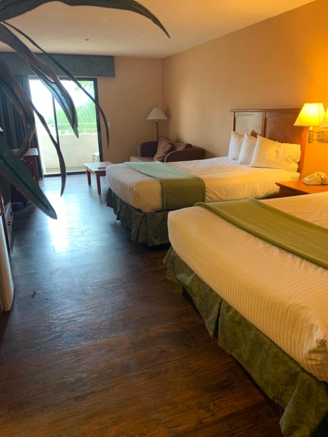 Deluxe Queen Room - Pool View at Miracle Springs Resort & Spa