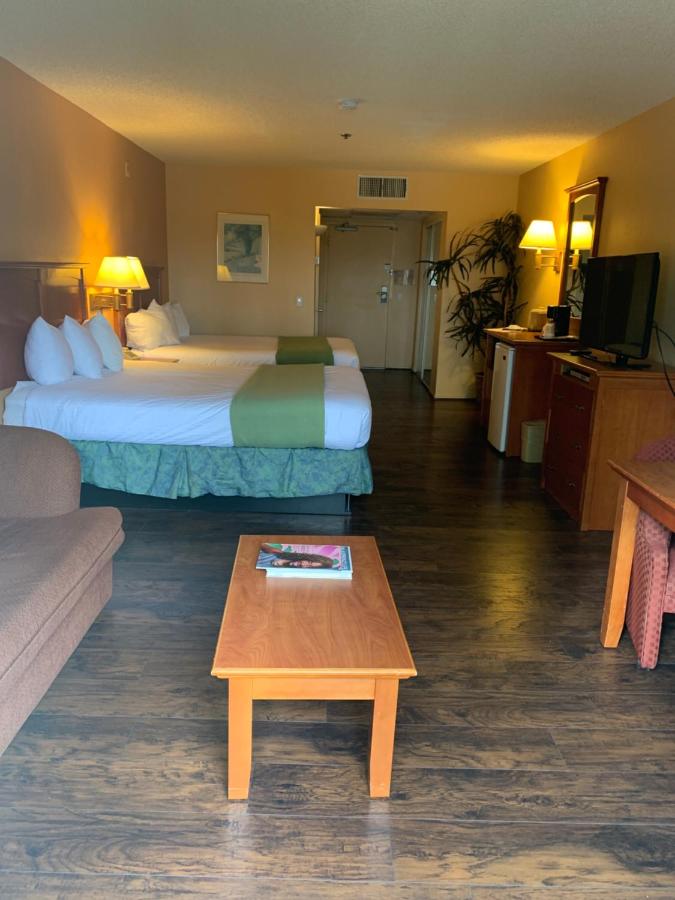 Deluxe Queen Room - Pool View at Miracle Springs Resort & Spa