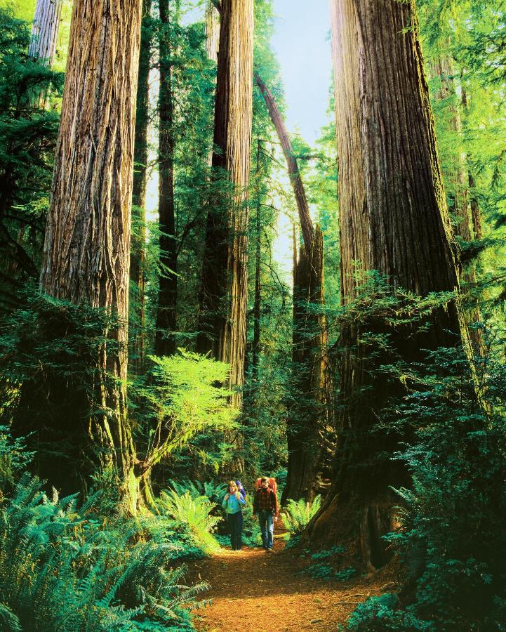 | Redwood Suites