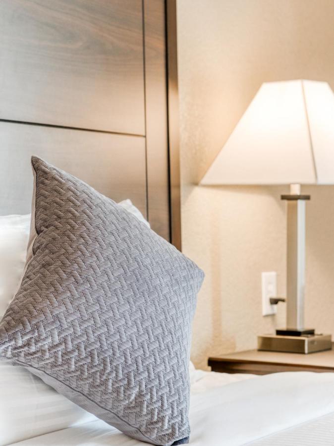 Junior Suite at Alexis Hotel & Banquets Dallas Park Central Galleria