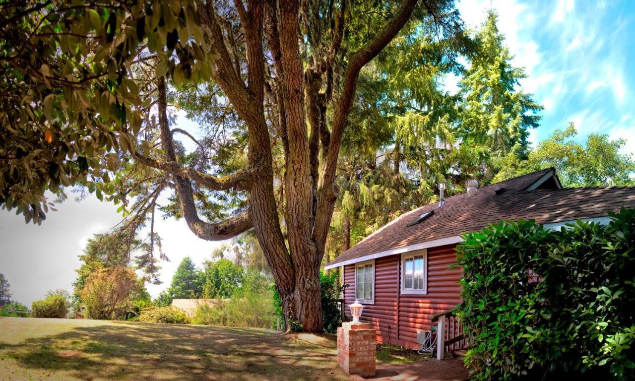 | View Crest Lodge
