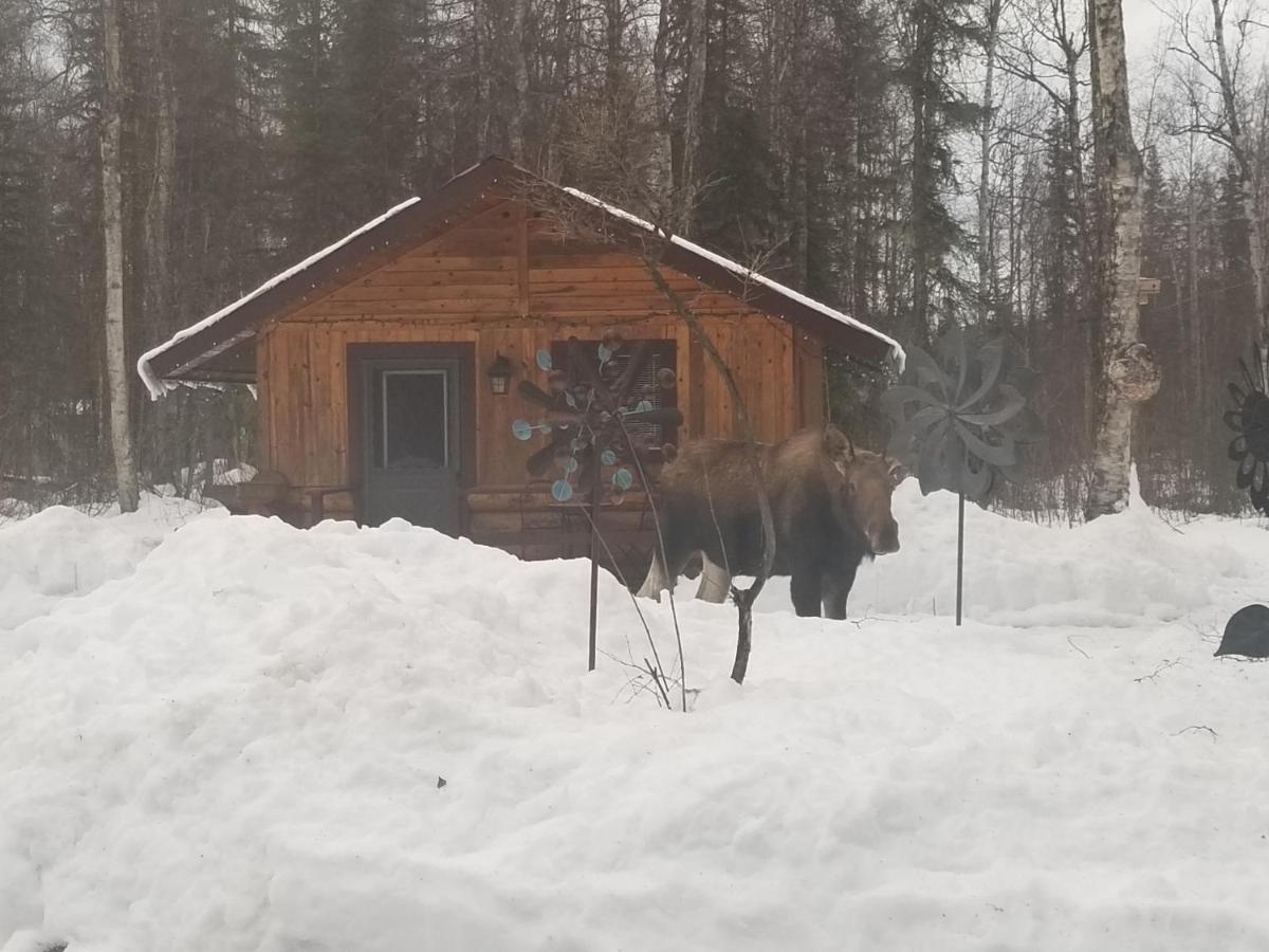 | Talkeetna Fireweed Cabins