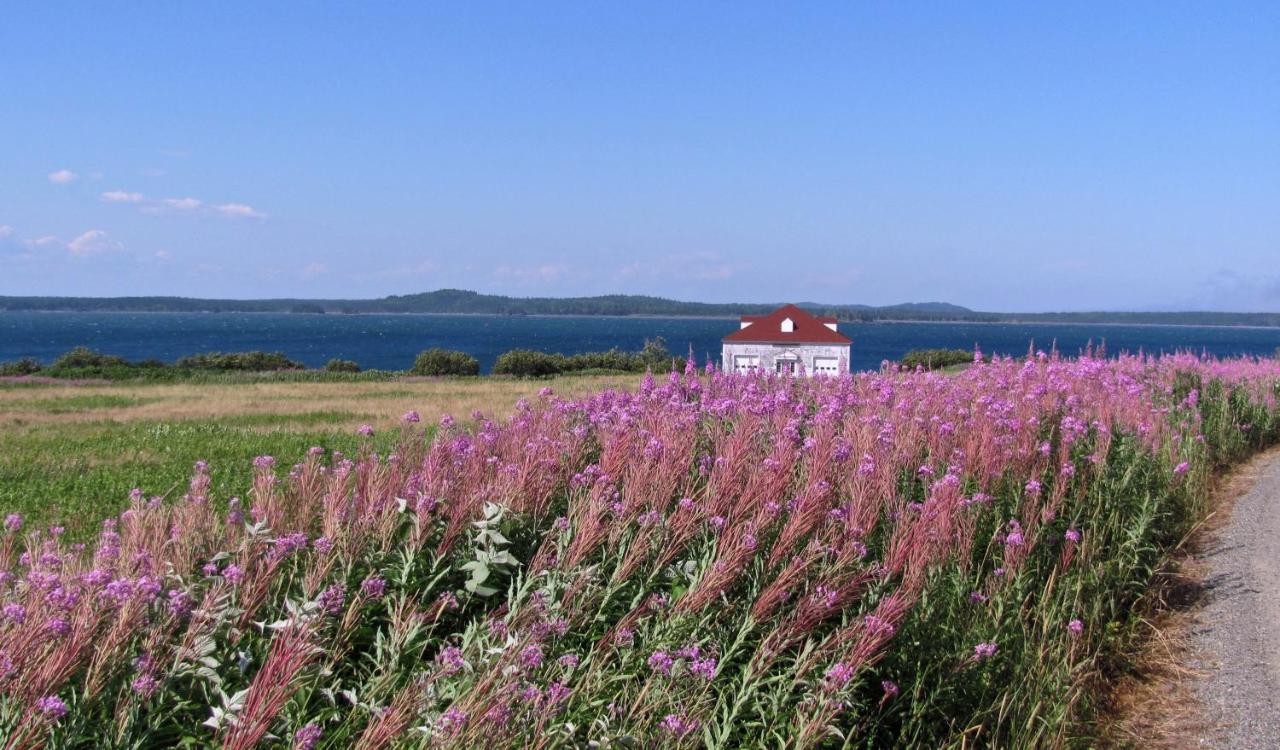| West Quoddy Station LLC