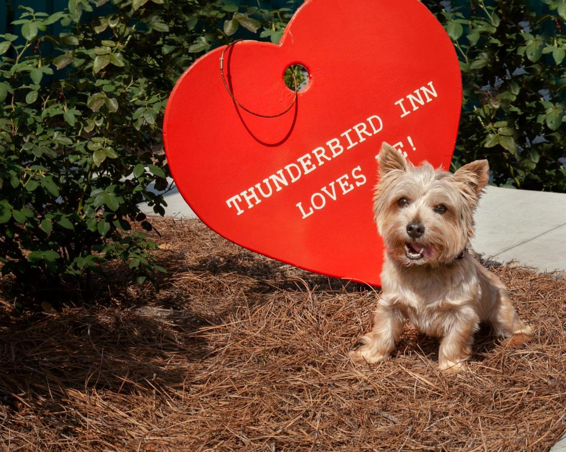 | The Thunderbird Inn