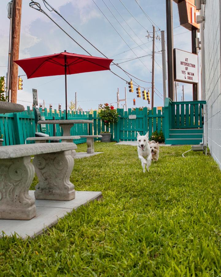 | The Thunderbird Inn