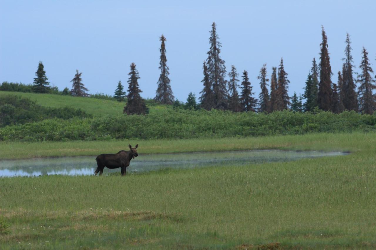 | Caribou Lodge Alaska