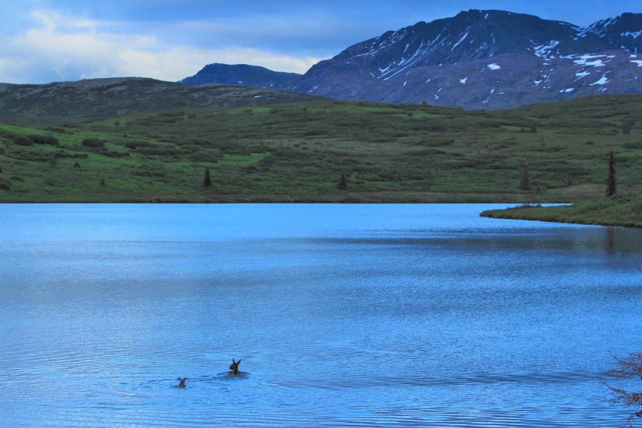 | Caribou Lodge Alaska