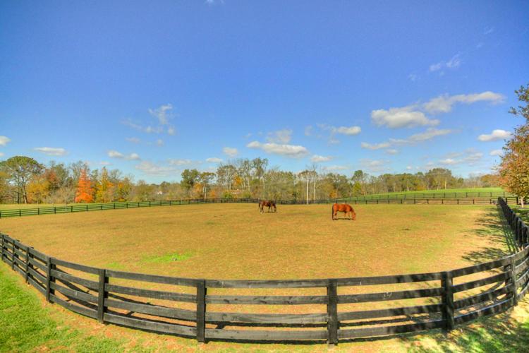 | Bluegrass Country Estate