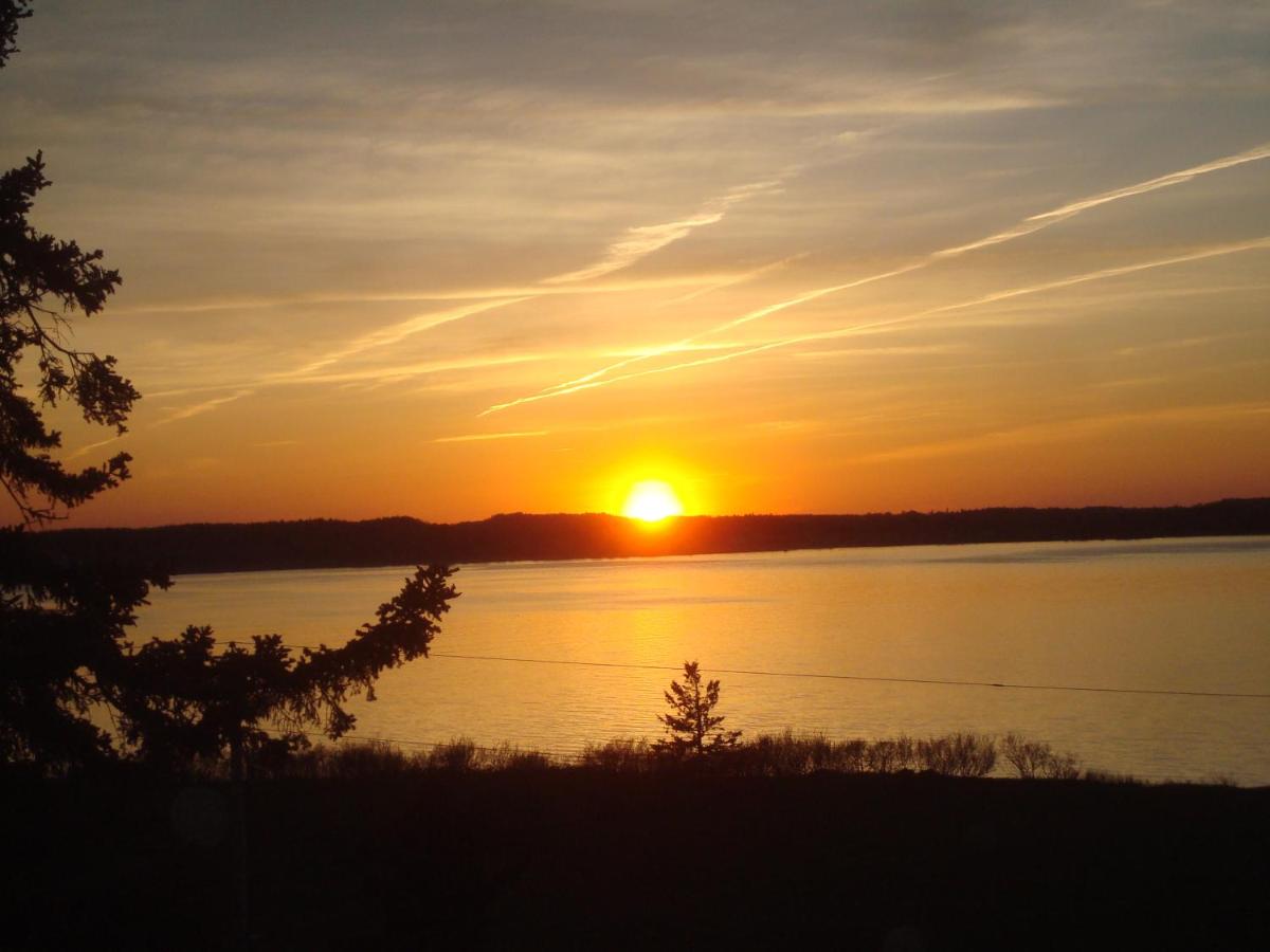 | West Quoddy Station LLC
