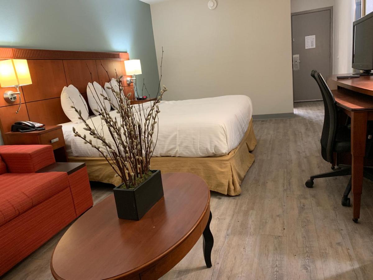 The Hotel Orange