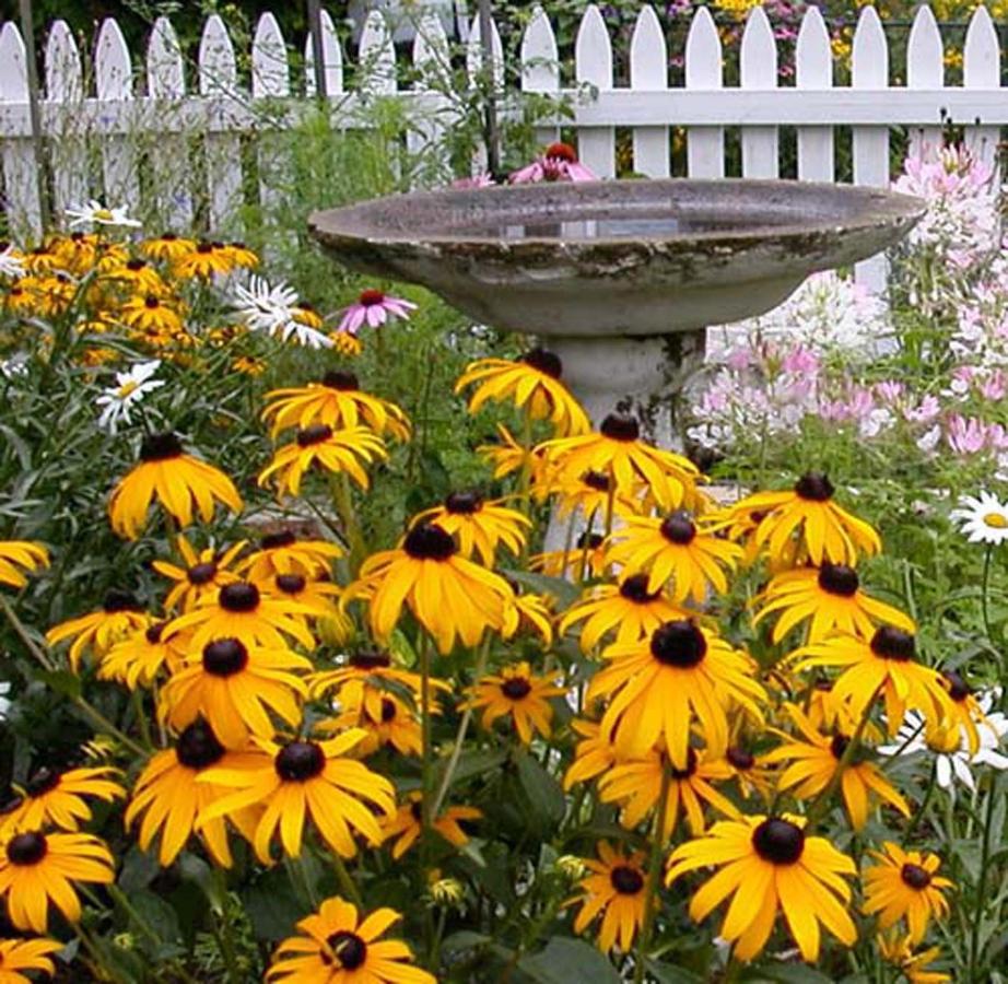 | The Morrison House Bed and Breakfast