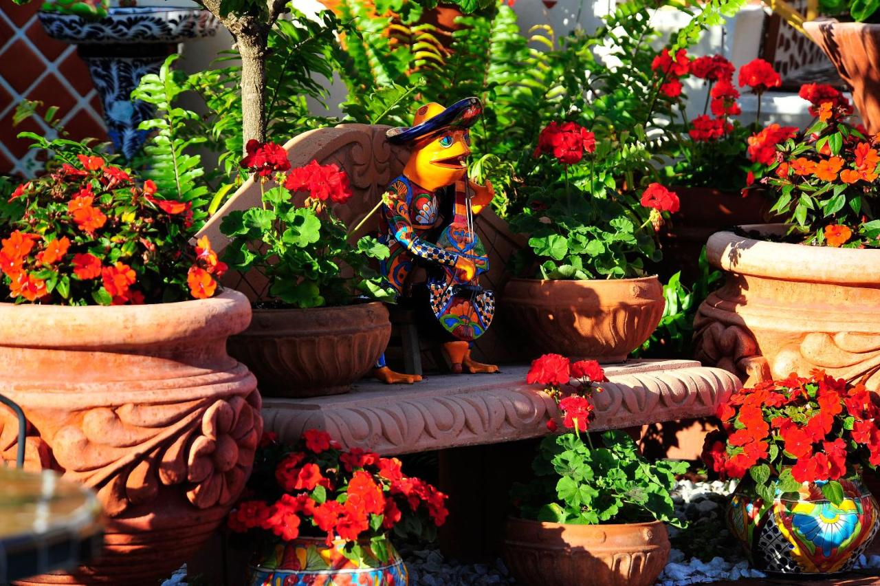  | Blue Seas Courtyard
