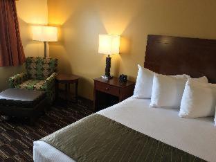 Room #111235537 at Best Western Falcon Plaza - Bowling Green