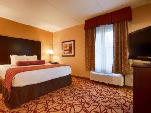 Room #42464018 at Best Western Park Hotel
