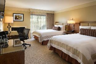 Room #2667116 at Hotel Abrego