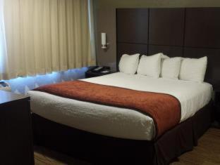 Room #18366816 at Best Western Pony Soldier Inn & Suites
