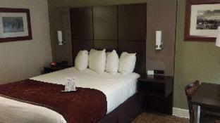 Room #18366824 at Best Western Pony Soldier Inn & Suites