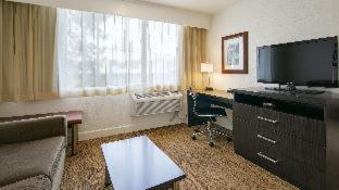 Room #18366820 at Best Western Pony Soldier Inn & Suites